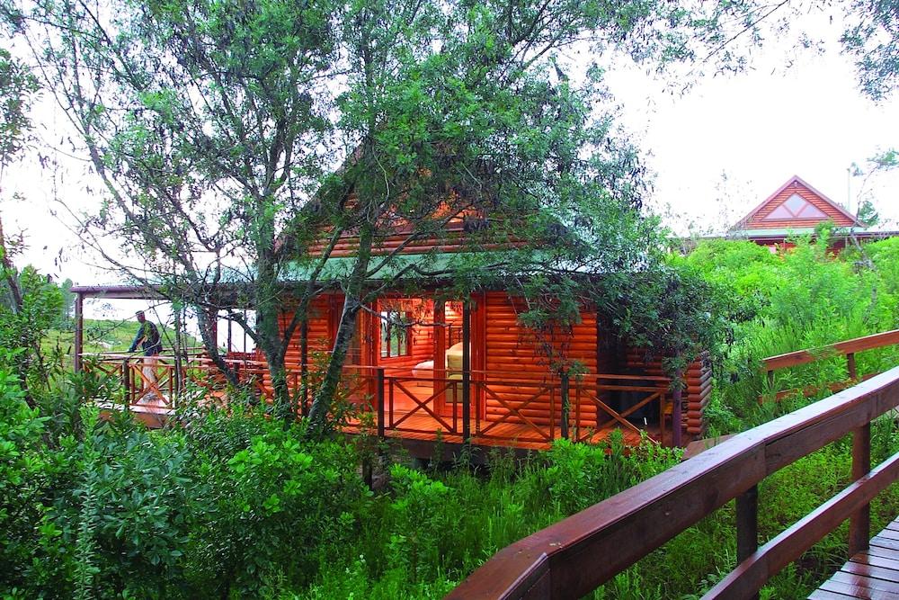 The Fernery Lodge and Spa