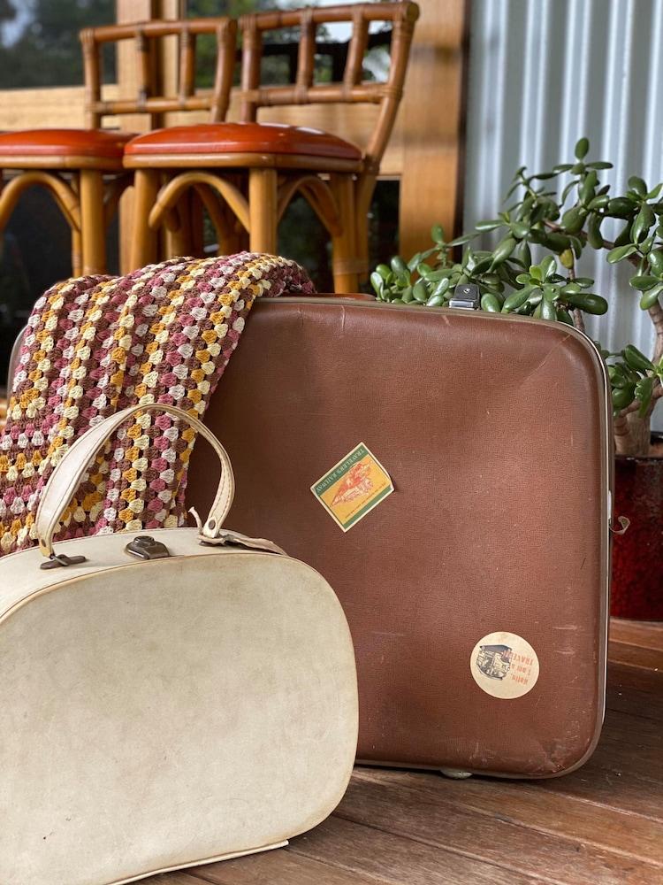 Fig Tree Retro Studio