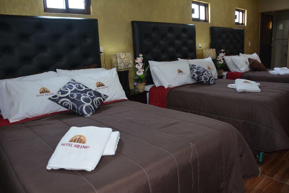 Hotel Milenio