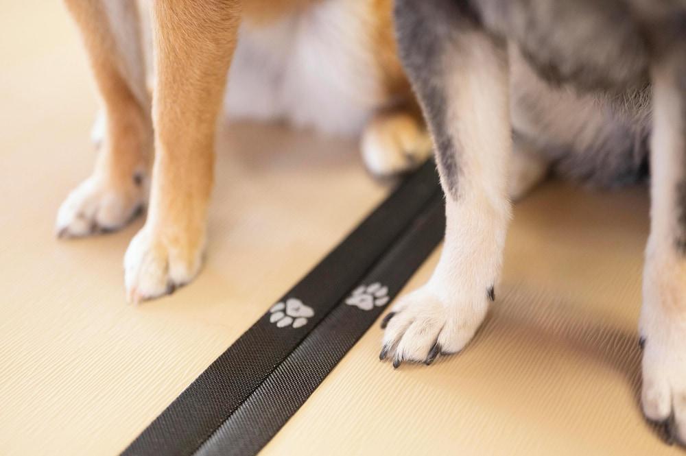 Hamanako Wan Wan Paradise Hotel