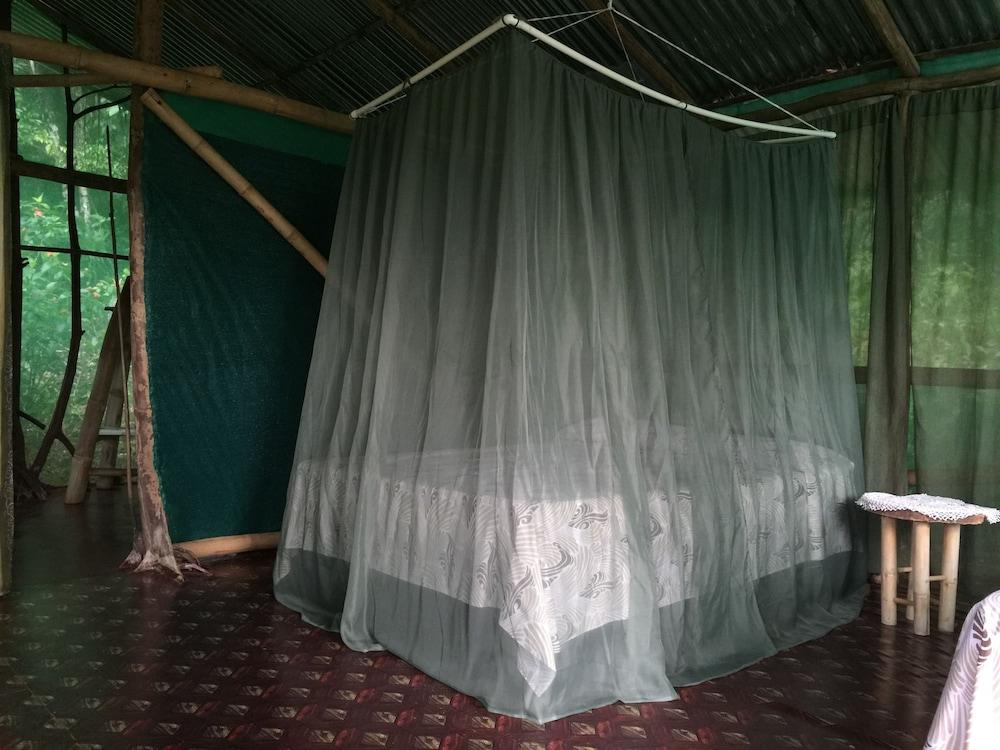 Isla Violin Eco Lodge