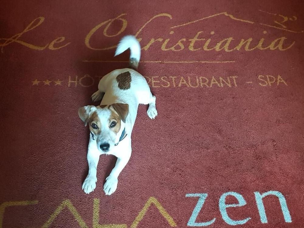 Logis Hôtel et Spa Le Christiania