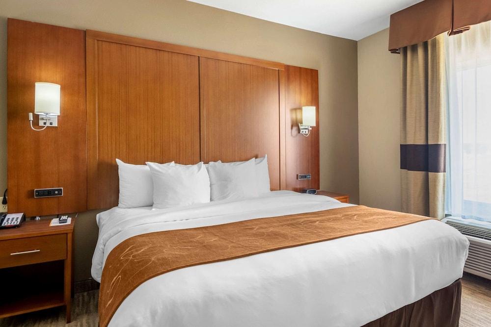 Comfort Suites University