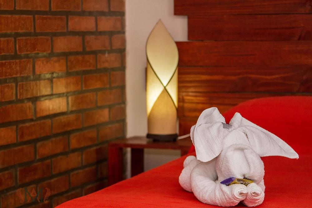 Posada Madre America