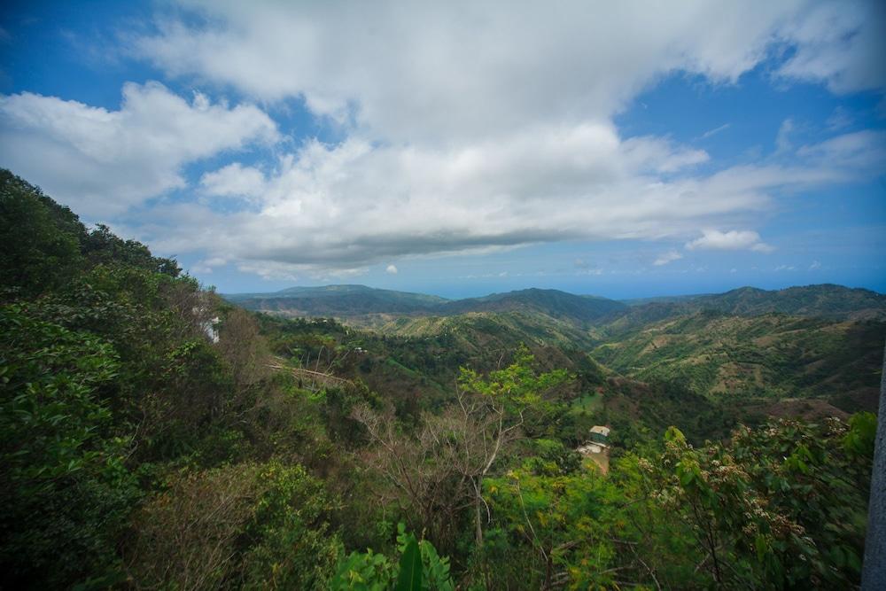 Auberge Du Mont Saint Jean