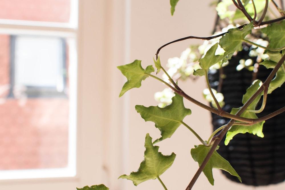 Modern design im klassischen Altbau