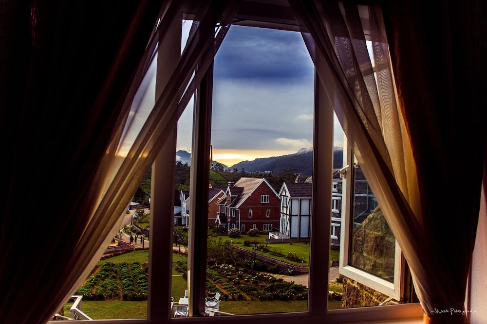 Little England by Celeste