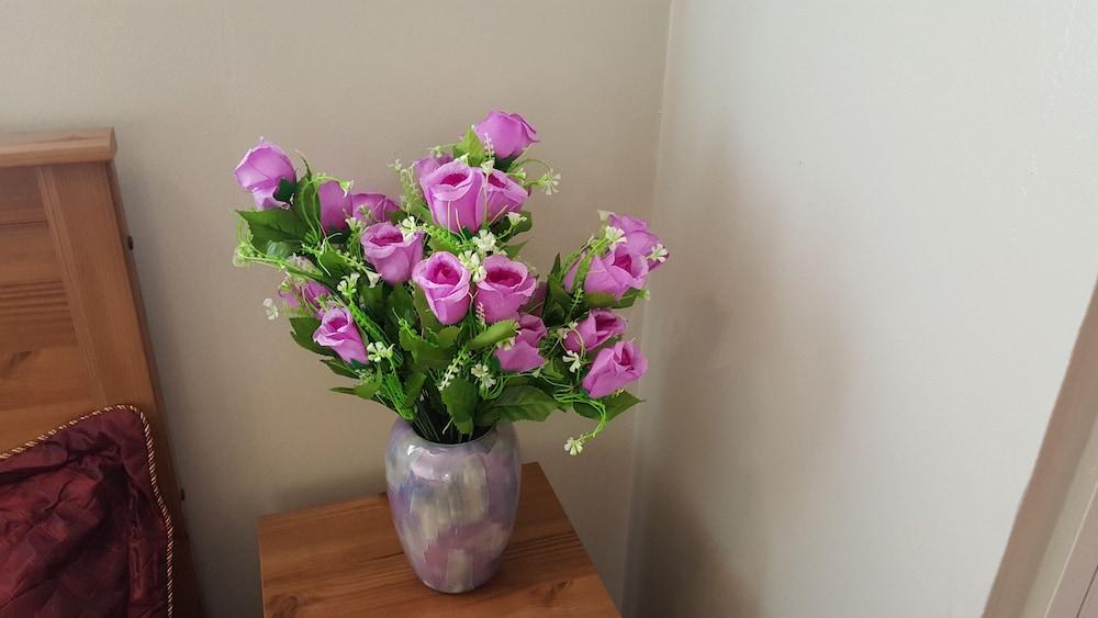 Cambridge Inn: Central Self-Catering Cottage