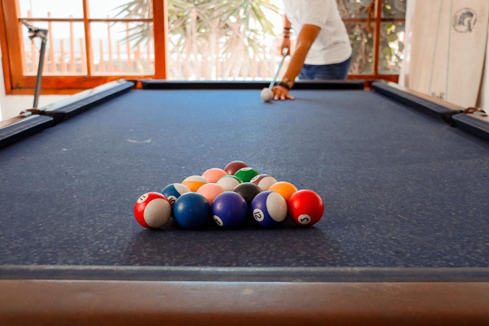 Los Delfines de Chicama