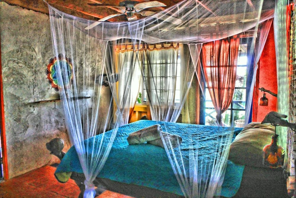 Mosana reef garden B&B