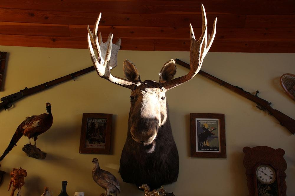 Montana Hill Guest Ranch