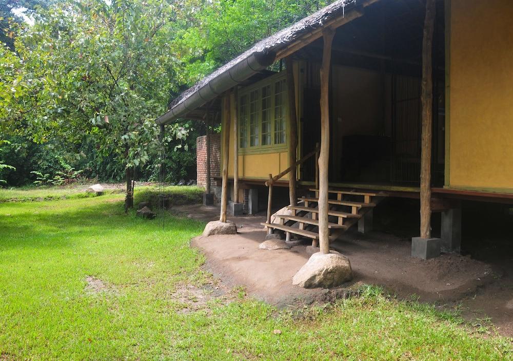 Back of Beyond - Dehigaha Ela