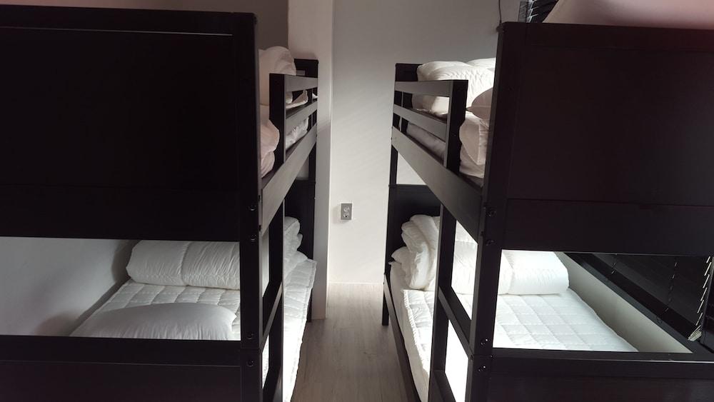 Amazon Guesthouse - Hostel