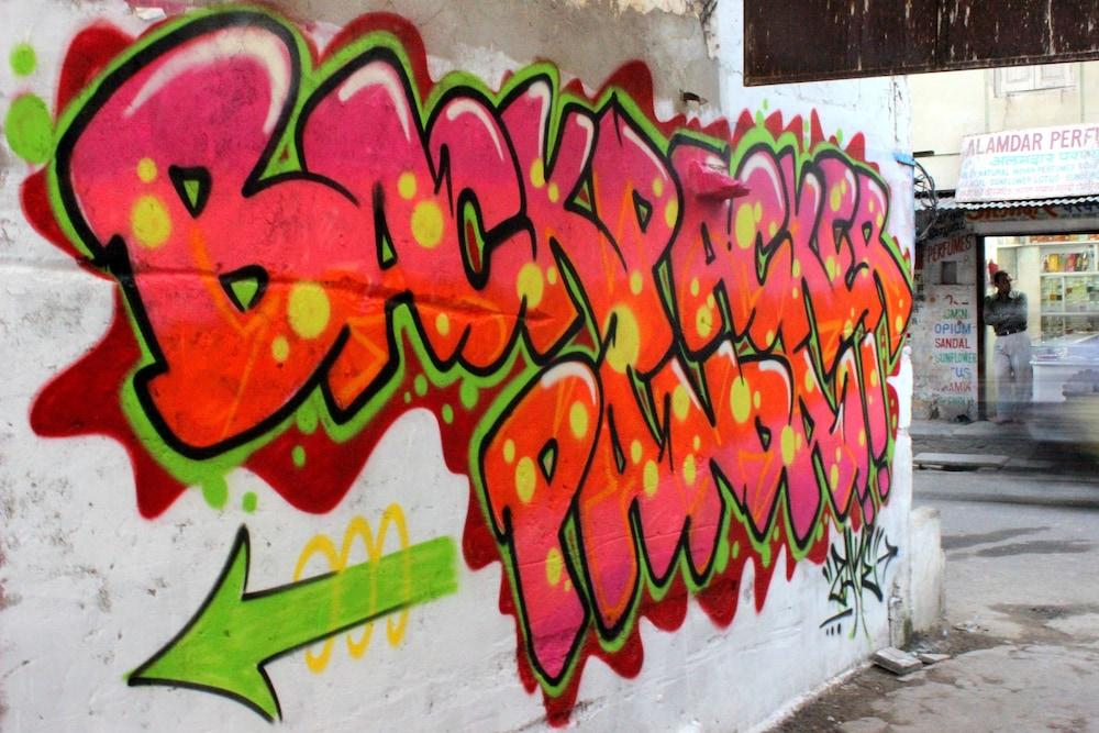 Backpacker Panda Lake Pichola Udaipur