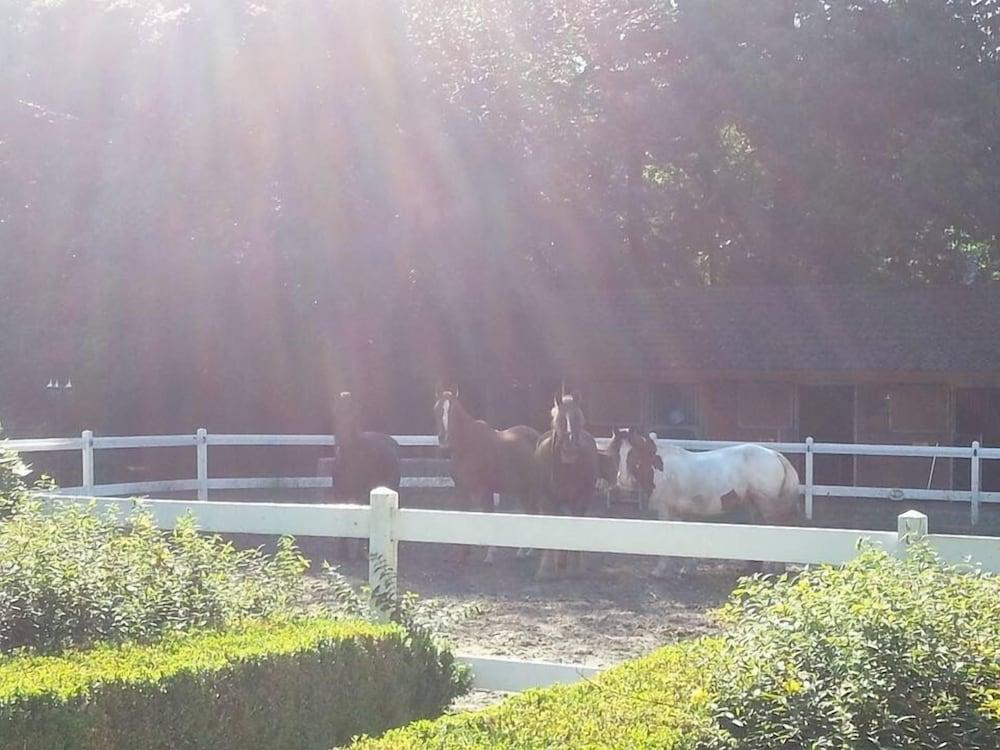 B&B De Poppelse Hoeve