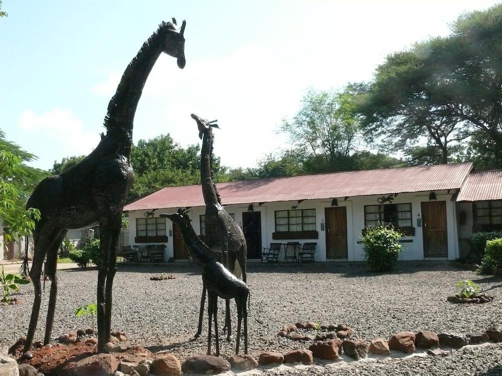 Zig Zag Town Lodge - Hostel