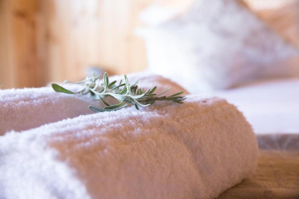 Kalahari Lion's Rest