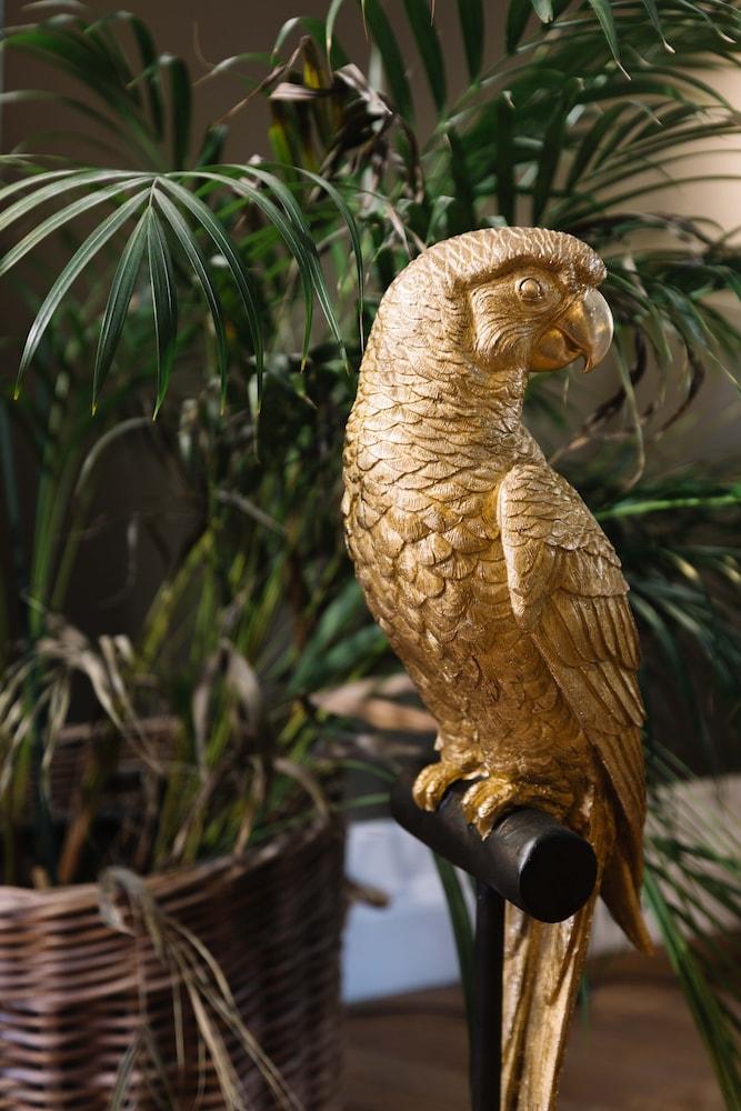 La Course Maison D'Hôtes de Luxe