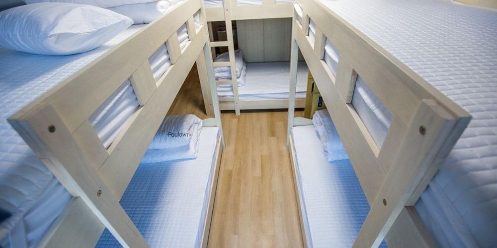 Paulownia Hostel & Guest House