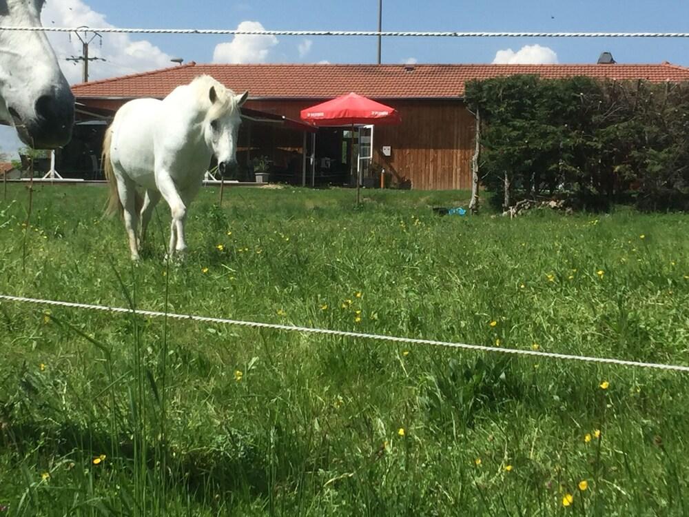 Hôtel Restaurant "La Galoche"