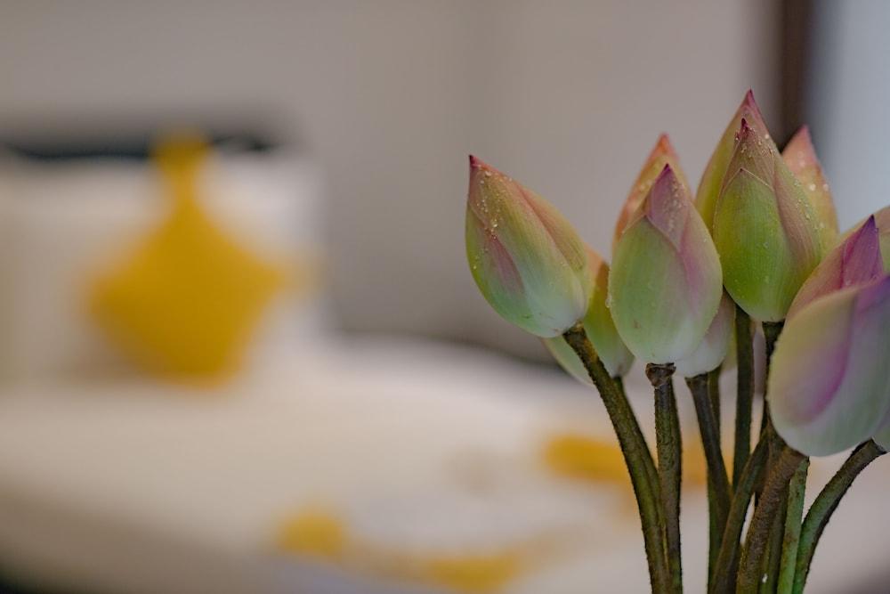 Le Chanthou Boutique