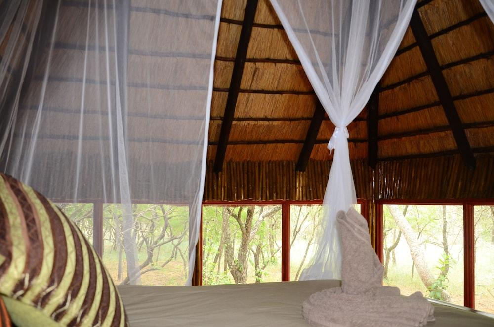 Pezulu Tree House Lodge