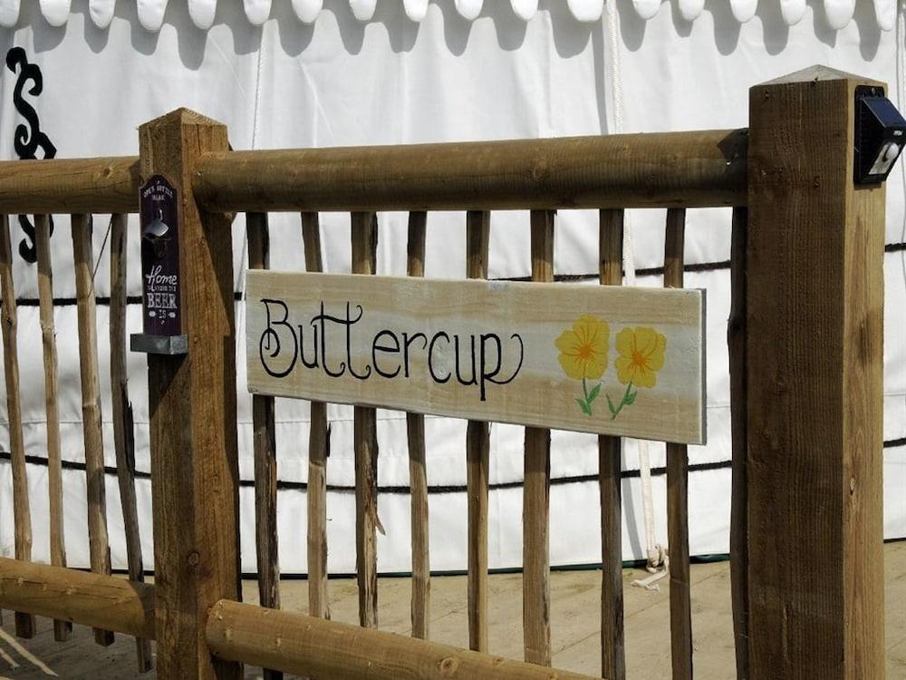 Glamping on the Hill