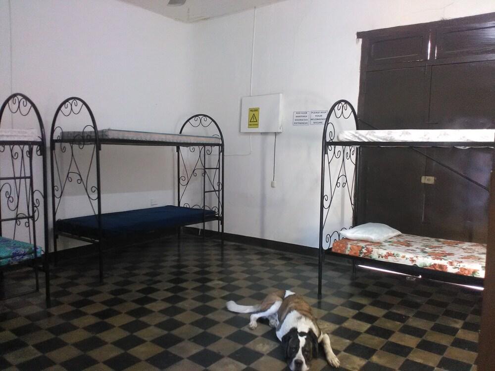 The Sleeping Dog Hostel