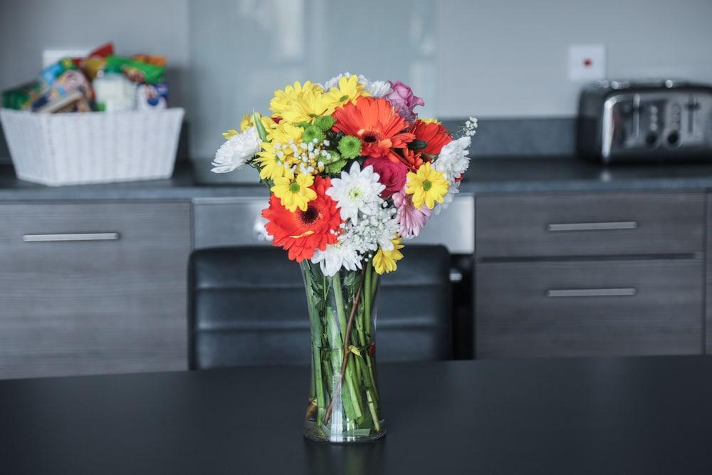 Dream Apartments St Thomas Hall