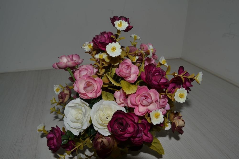 Apartamentos Alma Surire