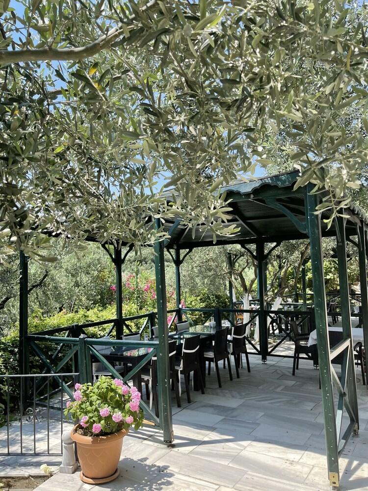 Marmara Zeytin Hotel