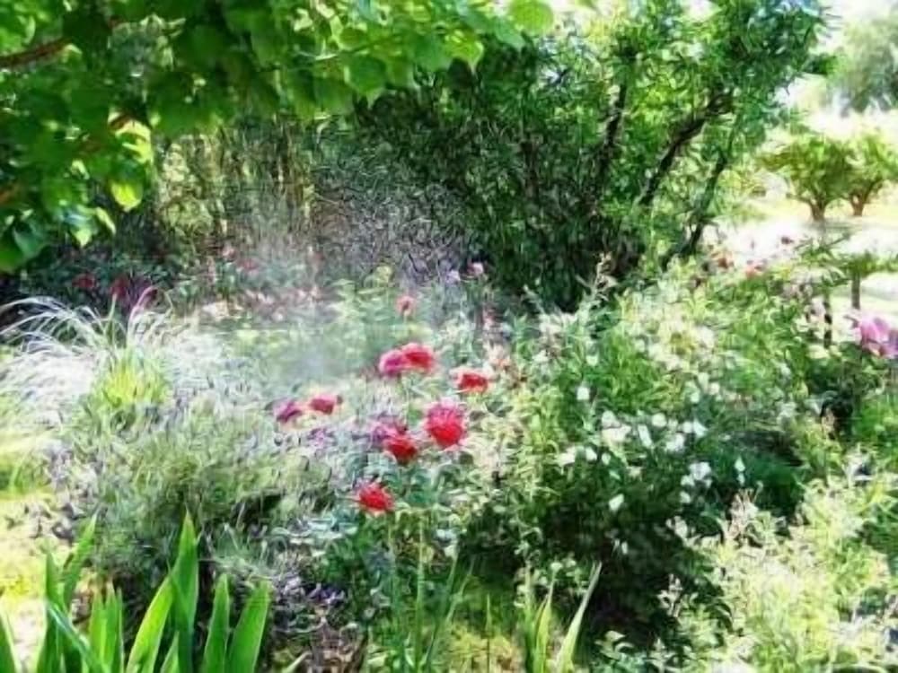 Taymenta Posada de Campo