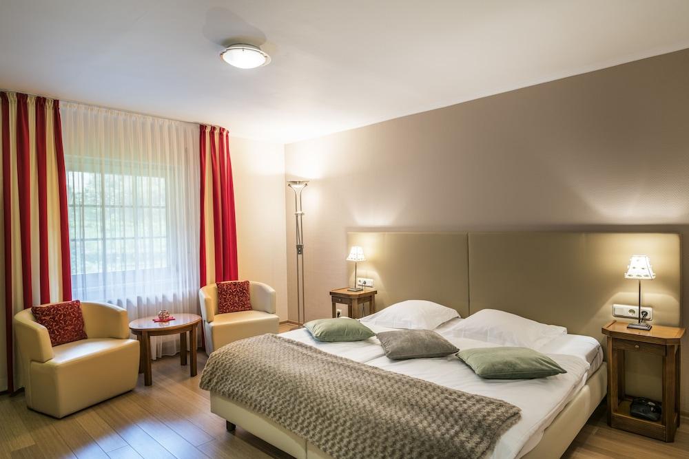 Hôtel Au Vieux Moulin