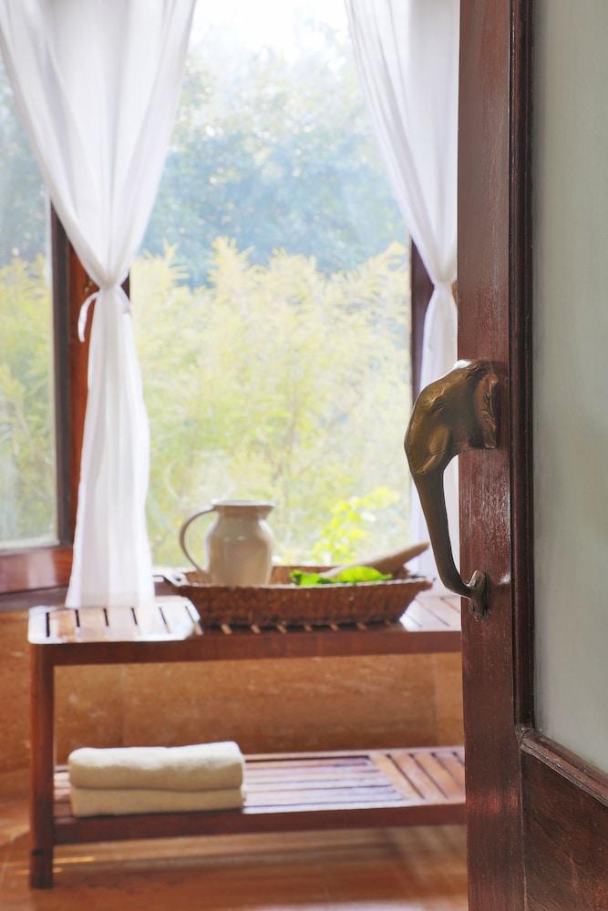 Jim's Jungle Retreat