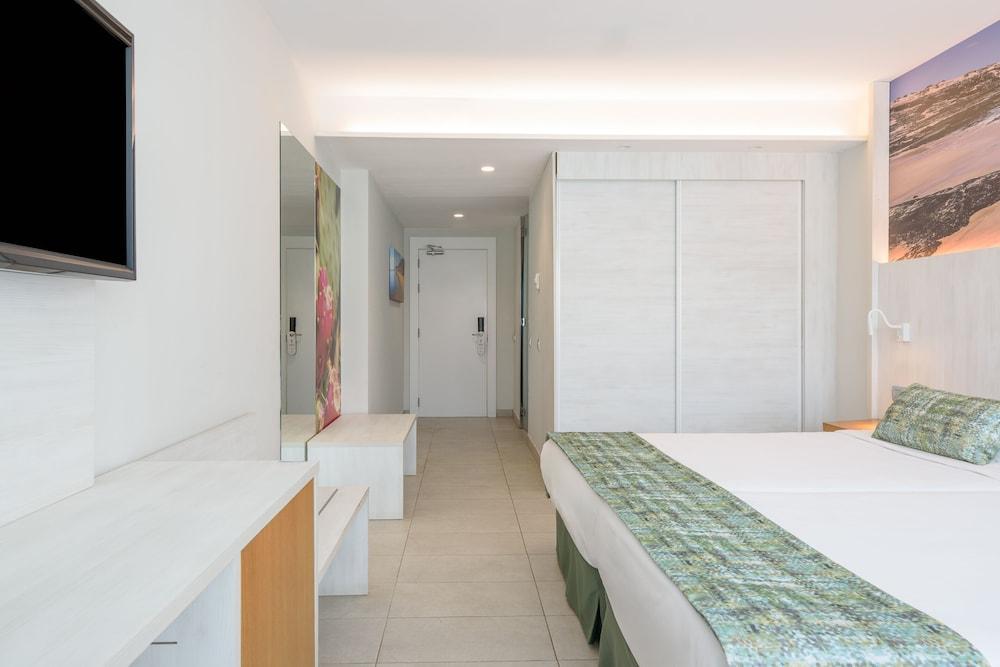 FERGUS Cactus Garden