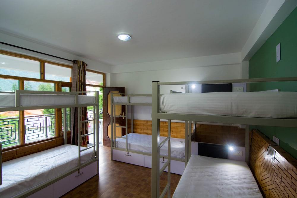 Backpacker Panda Manali