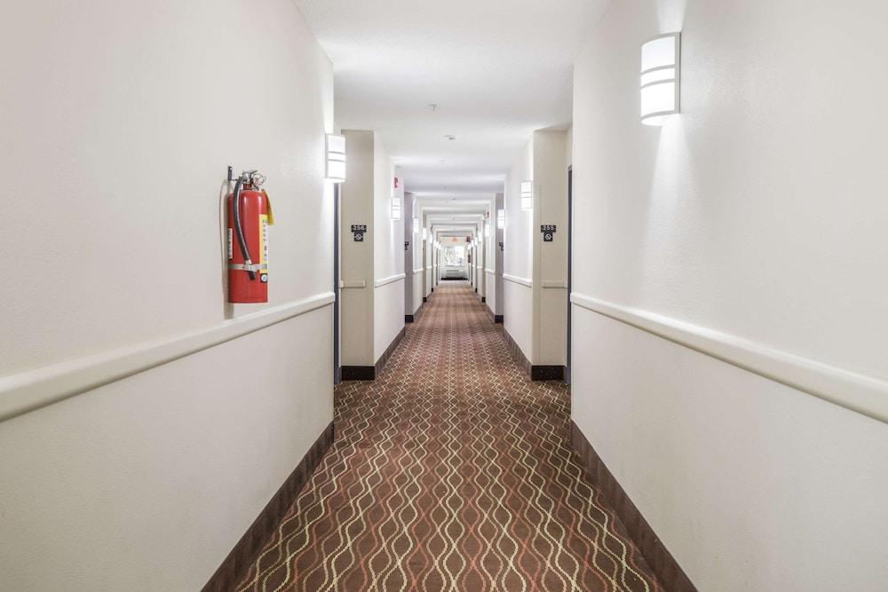 Econo Lodge Morristown West