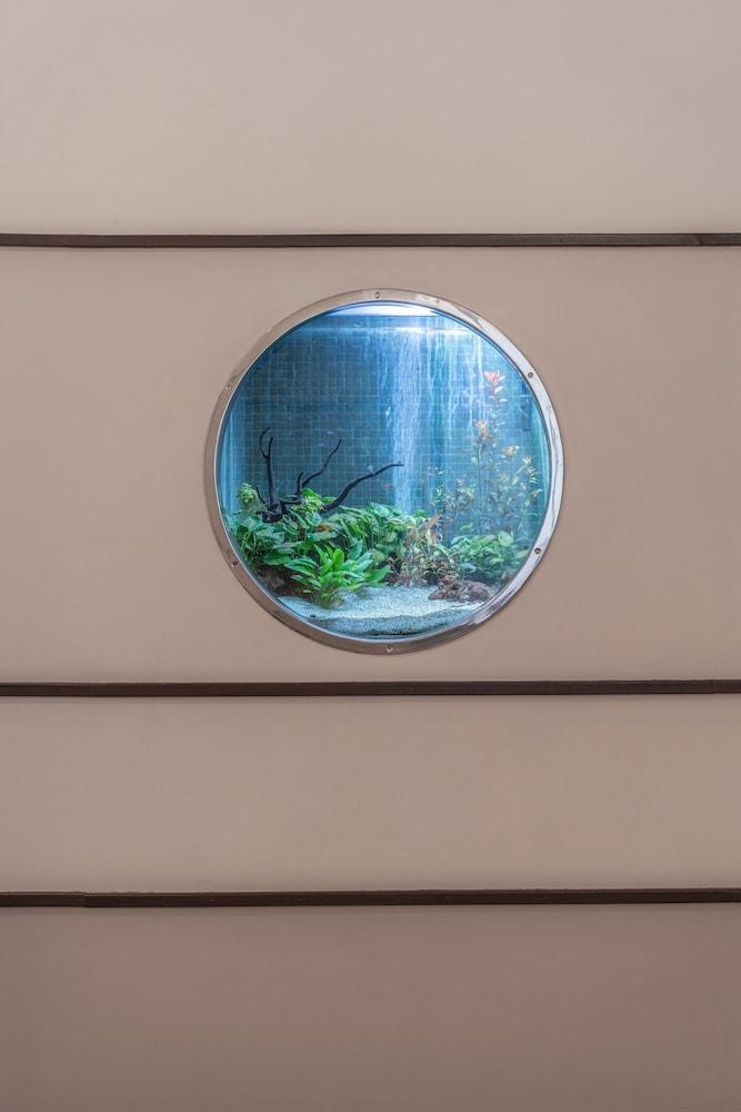 Terra Nostra Garden Hotel