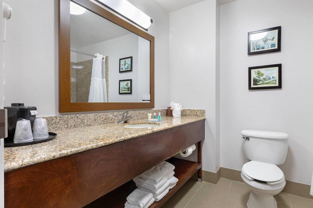 Comfort Suites DFW North/Grapevine