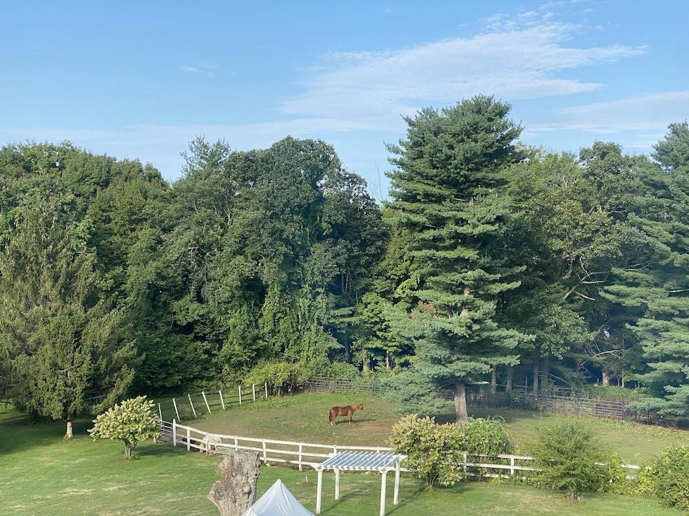 The Inn on the Horse Farm