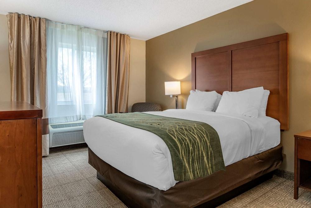 Comfort Inn & Suites Diamondale – Lansing