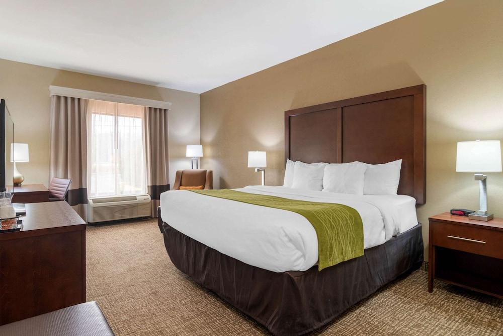 Comfort Inn & Suites Griffin North