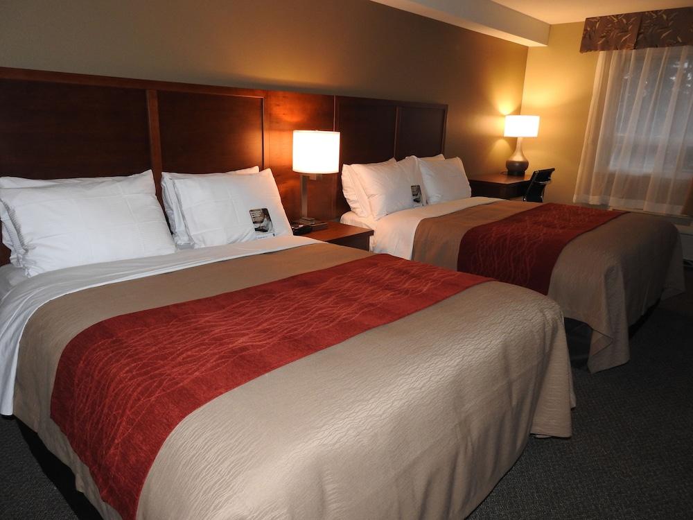 Comfort Inn & Suites