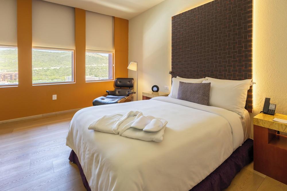 Barceló Monterrey Valle