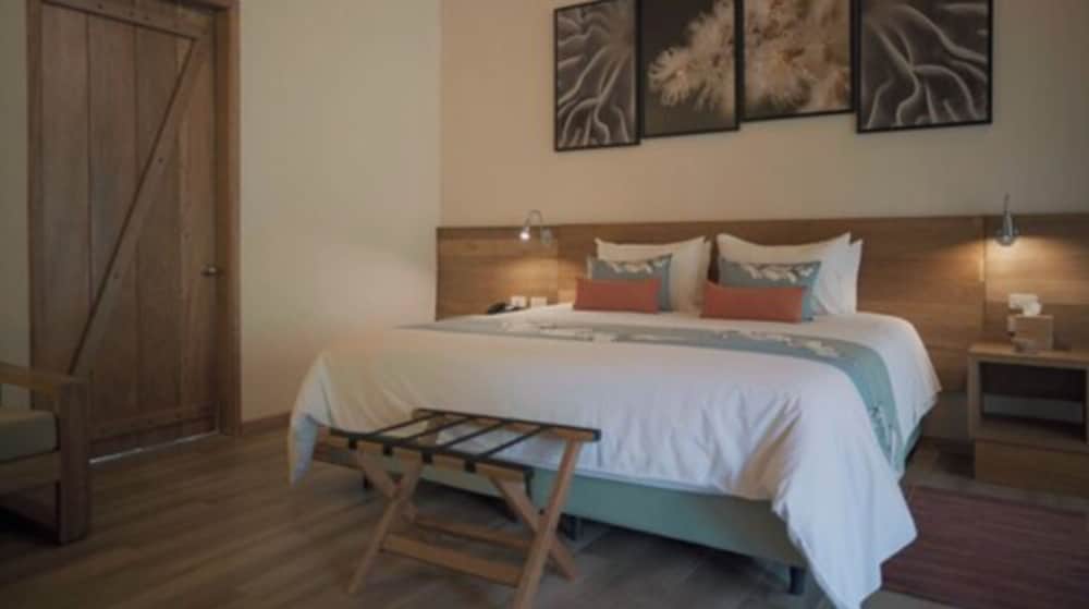 Termas de Papallacta