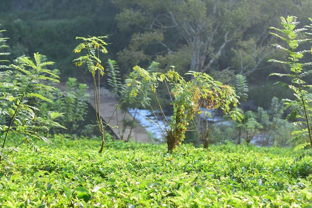 Knuckles Heaven Nature Resort