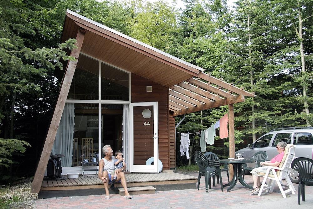 Dancamps Trelde Næs