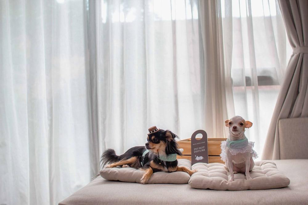 Seaphere Pattaya Hotel