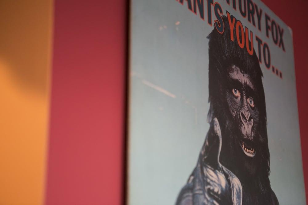 YAWP! backpackers - Hostel