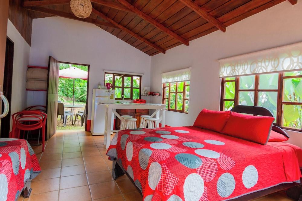 Selva Color Forest & Beach Ecolodge